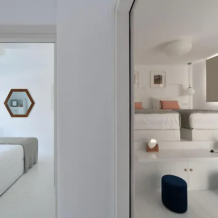 Luxury Paros Villa Villa Kallihroe Privacy & Luxury Private Pool